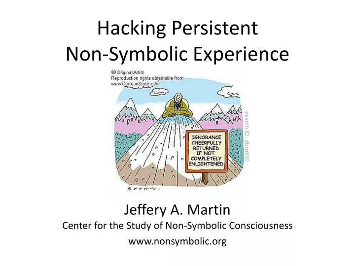 hacking persistent non symbolic experience