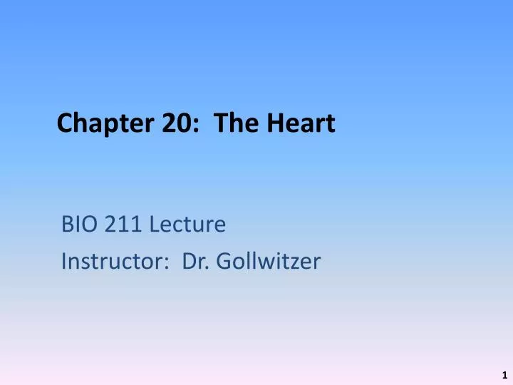 chapter 20 the heart