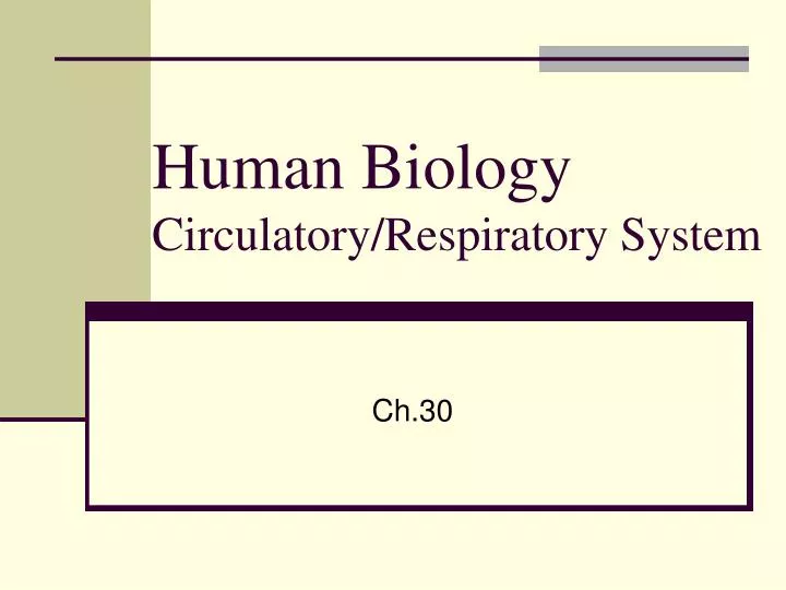human biology circulatory respiratory system