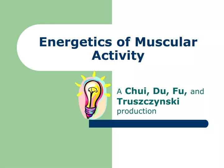 energetics of muscular activity