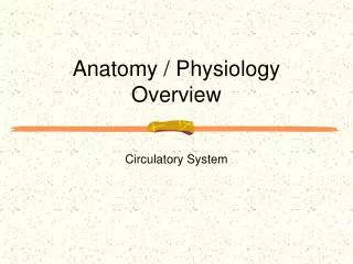 Anatomy / Physiology Overview