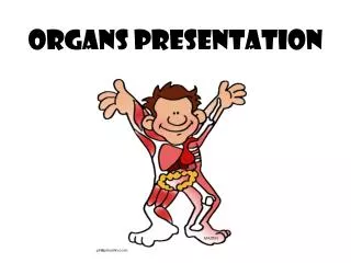 Organs presentation