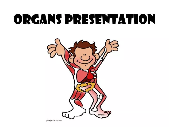 organs presentation