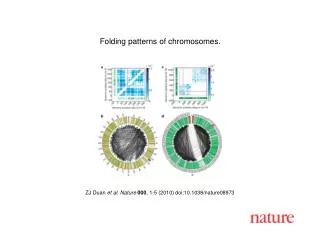 ZJ Duan et al. Nature 000 , 1-5 (2010) doi:10.1038/nature08973