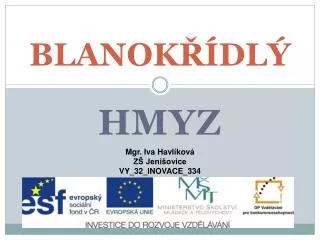 blanok dl