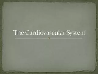 The Cardiovascular System