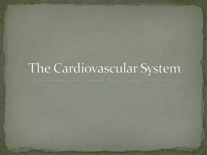 the cardiovascular system