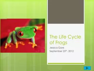 The Life Cycle of Frogs