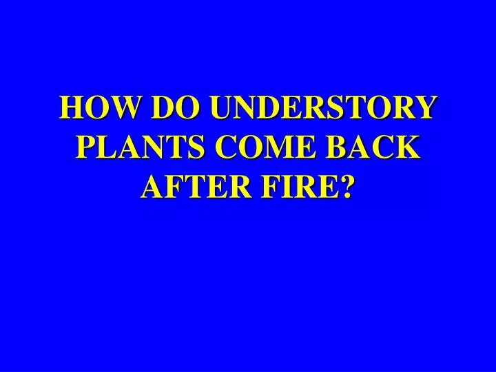 how do understory plants come back after fire