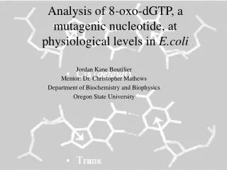 Analysis of 8-oxo-dGTP, a mutagenic nucleotide, at physiological levels in E.coli