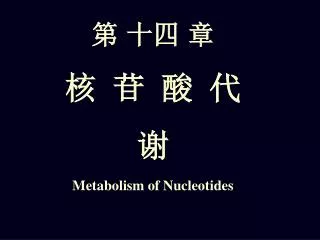 metabolism of nucleotides