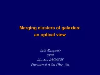 Merging clusters of galaxies: an optical view