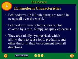 Echinoderm Characteristics