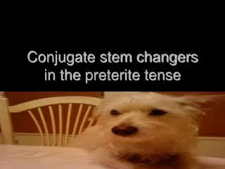 Conjugate stem changers in the preterite tense