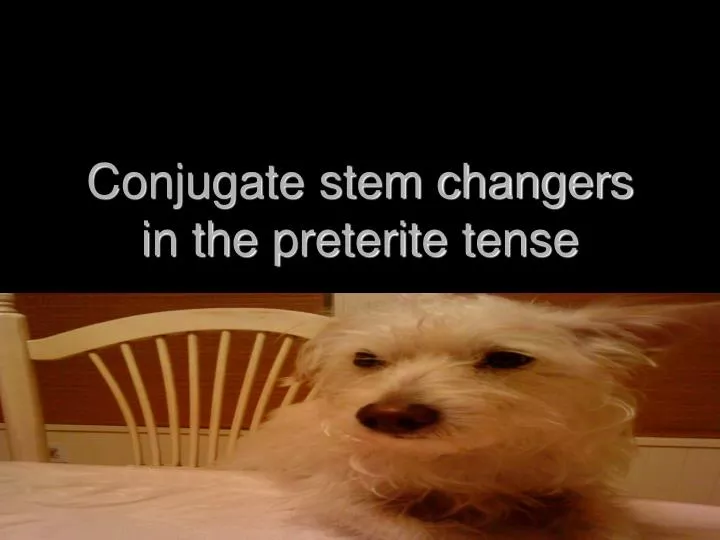 conjugate stem changers in the preterite tense