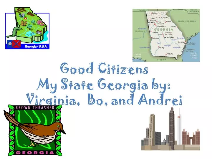 good citizens my state georgia by virginia bo and andrei