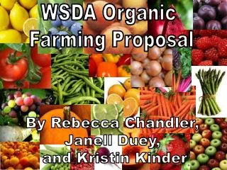 WSDA Organic Farming Proposal