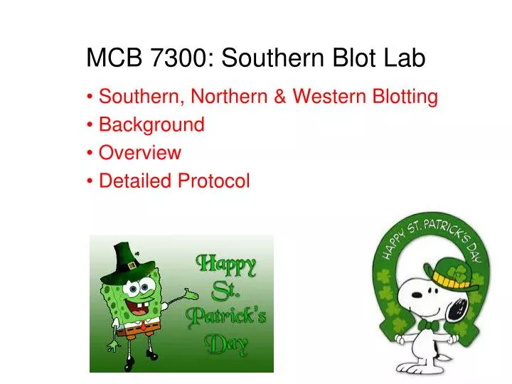 mcb 7300 southern blot lab
