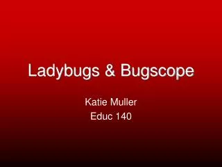 Ladybugs &amp; Bugscope
