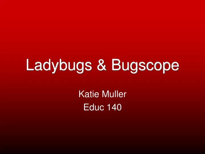 ladybugs bugscope