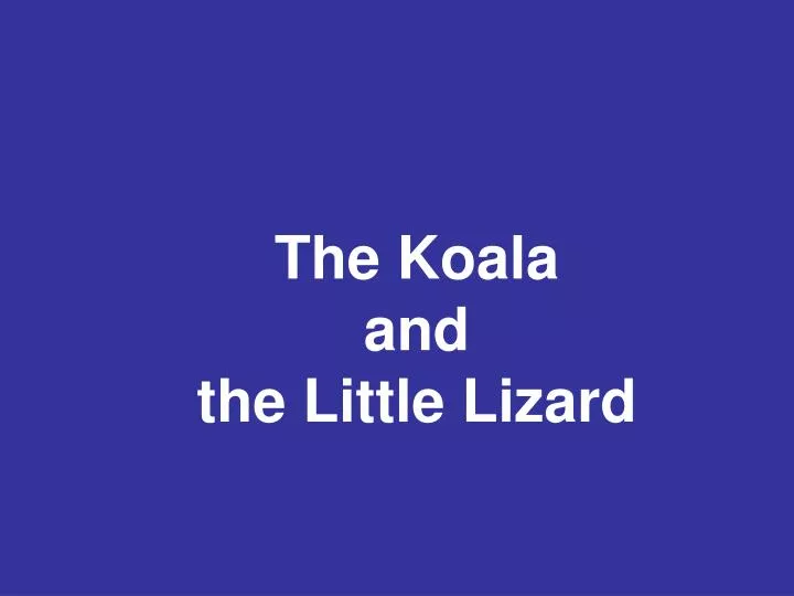 the koala and the little lizard