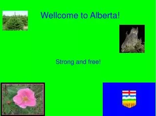 Wellcome to Alberta!