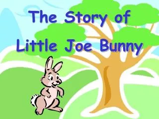 The Story of Little Joe Bunny