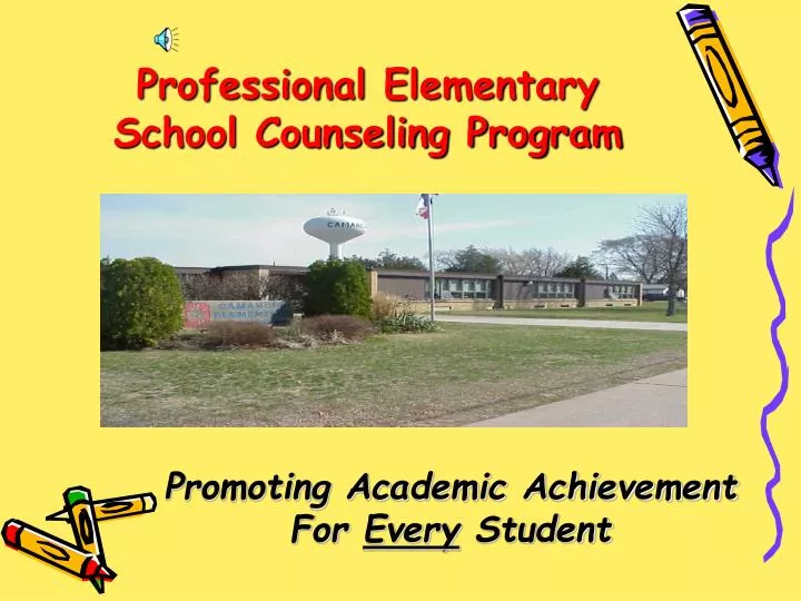 professional elementary school counseling program