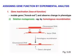 ASSIGNING GENE FUNCTION BY EXPERIMENTAL ANALYSIS