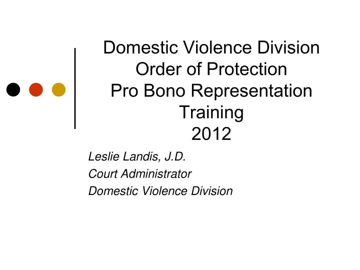domestic violence division order of protection pro bono representation training 2012