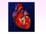 Werking en bouw van het hart - slide 1