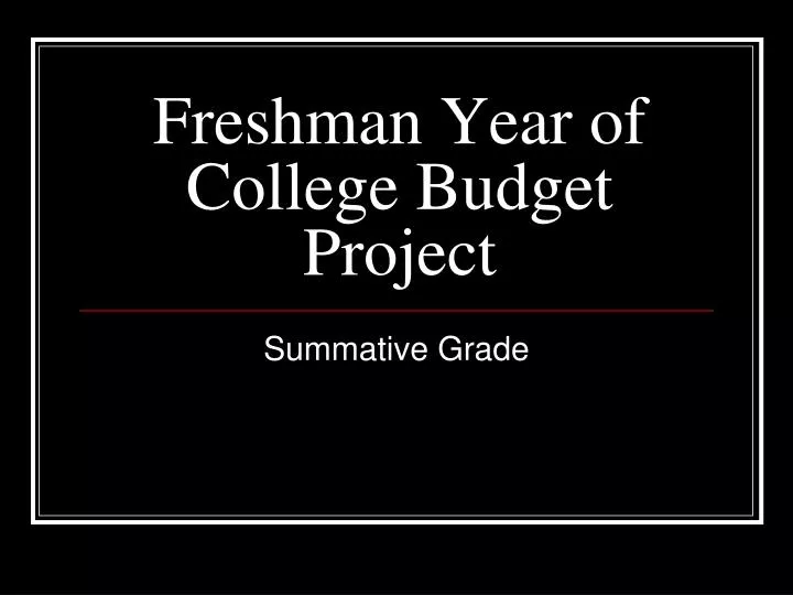 freshman year of college budget project
