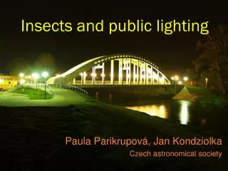 Insects and public lighting