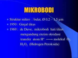 mikrobodi