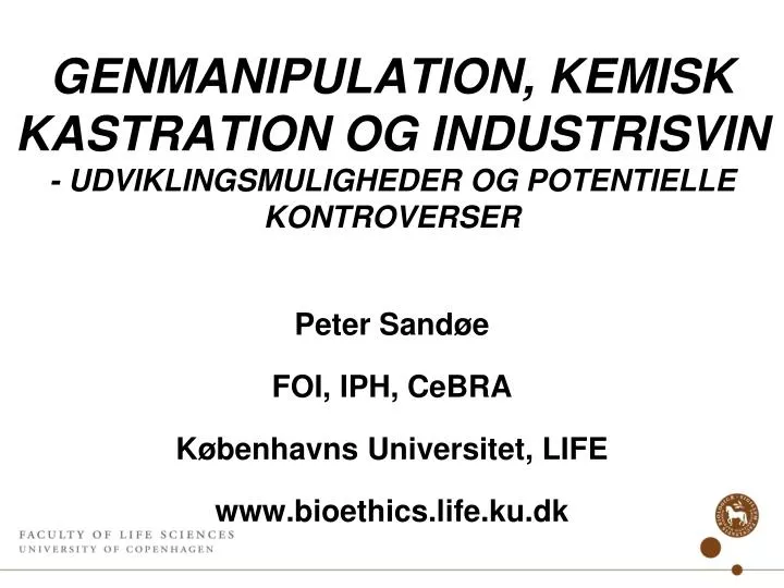 genmanipulation kemisk kastration og industrisvin udviklingsmuligheder og potentielle kontroverser