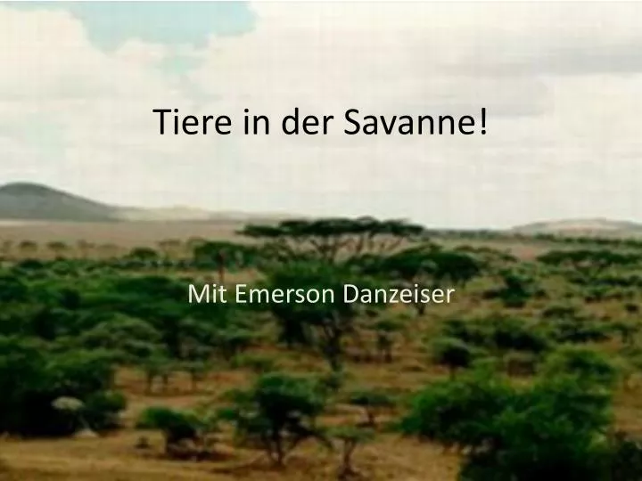 tiere in der savanne