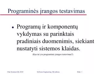 programin s rangos testavimas