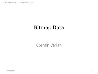 bitmap data