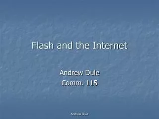 Flash and the Internet