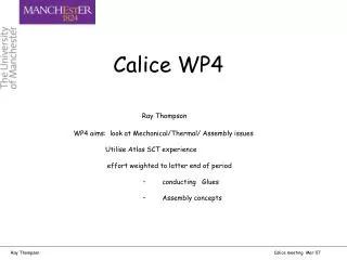 Calice WP4