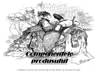 componentele produsului