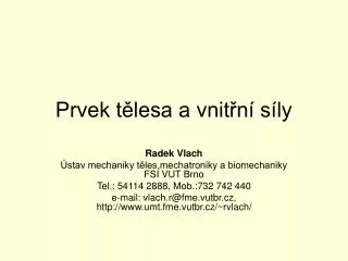 prvek t lesa a vnit n s ly