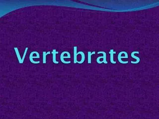 Vertebrates