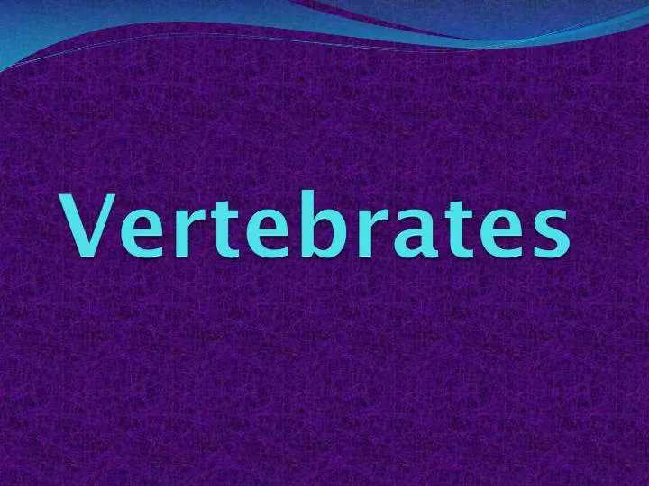 vertebrates