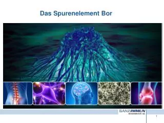 das spurenelement bor