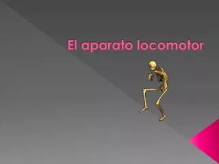 el aparato locomotor