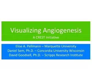 Visualizing Angiogenesis
