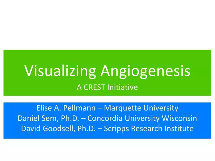 visualizing angiogenesis