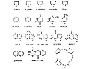 PRPP synthetase