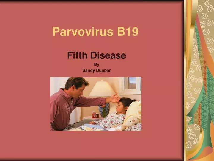 parvovirus b19